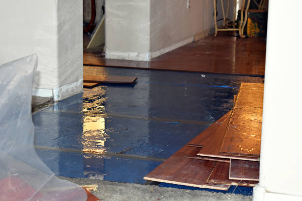 Professional Burst Pipe Cleanup technician working in Courtland, MN